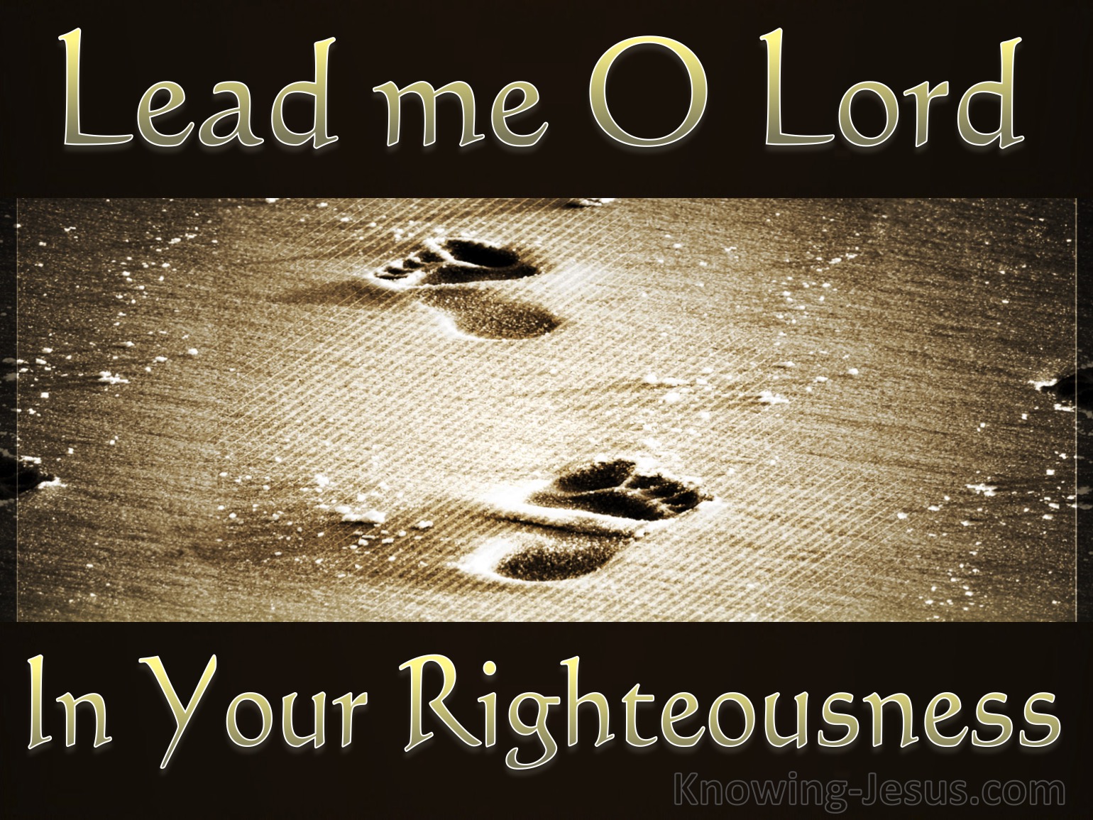 What Does Psalm 5 8 Mean 
